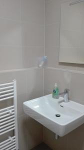 W łazience znajduje się biała umywalka i lustro. w obiekcie Apartment Brno centrum with private parking w mieście Brno
