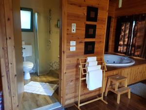 a bathroom with a tub and a sink and a toilet at A Place To Dream in Ẕippori
