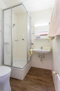 a bathroom with a shower and a toilet and a sink at Hotel Seehof in Zell am See