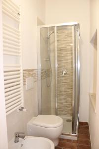 ein weißes Bad mit einem WC und einer Dusche in der Unterkunft Pancotto - Appartamento nel cuore di San Gimignano in San Gimignano