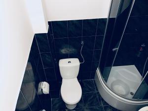 a blue tiled bathroom with a toilet and a sink at Studio Ewa in Gdańsk