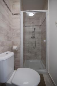 a bathroom with a shower and a white toilet at Apartmán Petra in HoÅ¡Å¥ka