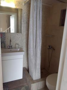 a bathroom with a shower curtain and a toilet at House Galini in Halki