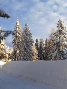 Ferienhaus Hubertus Tirol 1-8 Personen during the winter