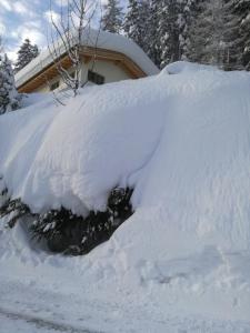 Ferienhaus Hubertus Tirol 1-8 Personen during the winter