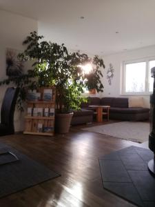 a living room with potted plants and a couch at Ferienhaus Hubertus für 8 Personen in Pill