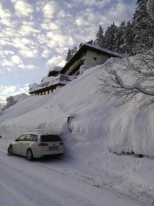 Ferienhaus Hubertus Tirol 1-8 Personen during the winter
