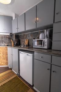 Virtuvė arba virtuvėlė apgyvendinimo įstaigoje Invicta Flats 2 - Oporto