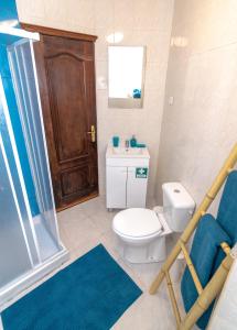 a bathroom with a toilet and a shower and a sink at Invicta Flats 2 - Oporto in Porto
