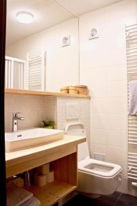 een badkamer met een wastafel en een toilet bij Penzion Ekosport in Stachy