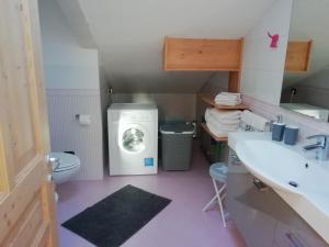 ポッツァ・ディ・ファッサにあるCasa Sofiaのバスルーム(洗濯機、シンク付)