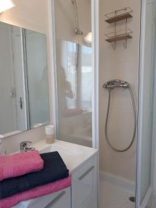 普罗万Provins centre, Appartement "Les voyages de Nastia", proche remparts et gare的带淋浴和白色盥洗盆的浴室