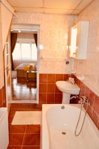 Gallery image of Central apartment with BIG room, WiFi, TV, Washer in Timişoara