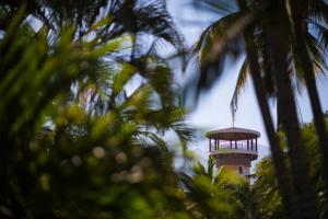 Zahrada ubytování Costa Club Punta Arena - Todo Incluido