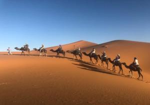 a group of people riding horses in the desert at Auberge L'oasis Mhamid in Mhamid
