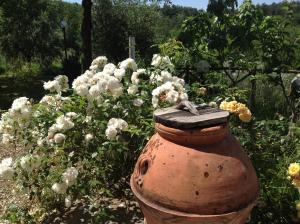 un vecchio idrante arrugginito davanti ai fiori di Agriturismo Prato Barone a Rufina