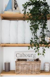 カブールにあるAppartement Bien-être 2 chambres au coeur de Cabourg -の植物棚
