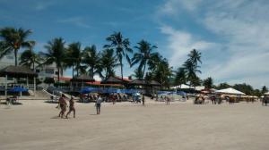 a group of people on a beach with palm trees at Casa Praia de Tamandaré PE in Tamandaré