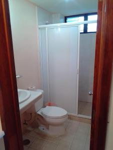 ein Bad mit einem WC, einer Dusche und einem Waschbecken in der Unterkunft Balcon Gueela in Santa Cruz Huatulco