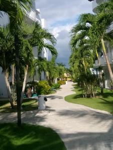 a sidewalk with palm trees in front of a building at Private Apartment in Caribe Dominicus 3 SOLO ADULTOS in La Laguna