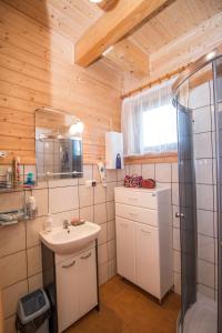 Łazienka w obiekcie Komfortowe Domki na Roztoczu- Domek Majdan