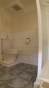 a white bathroom with a toilet and a shower at Austria Motel in Paihia
