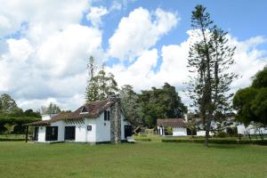 an old white house with a tree in a field at Casa Finca Corales Llano Grande 2 in Rionegro