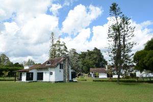 una vieja casa blanca con un árbol en un campo en Casa Finca Corales Llano Grande 2, en Rionegro