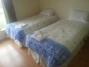 twee bedden naast elkaar in een kamer bij Courtbrack Accommodation - Off Campus Accommodation in Limerick