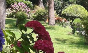 un gruppo di fiori in un cortile alberato di Balcone sul Tigullio a Rapallo