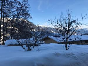 Paesaggio naturale nelle vicinanze dell'appartamento