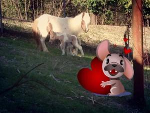 a mickey mouse with a heart and a horse at Country House Il Piancardato in Collazzone