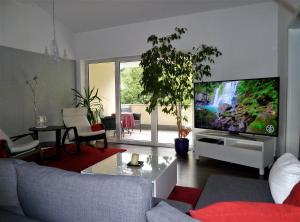 a living room with a large flat screen tv at Schedler in Gerbrunn