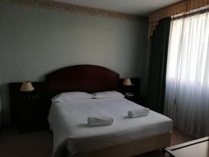 Gallery image of Venice Palace Hotel in Mirano