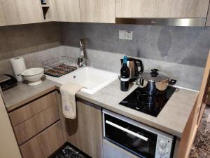 A kitchen or kitchenette at Agias Sofias Street Luxurious Studio