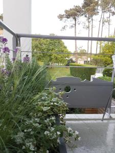 a garden with a bench and some plants at Apartment Cap Meyran in Gujan-Mestras