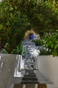 a garden with a stone path with a plant at Vagia Traditional, Aegina Island in Vaia