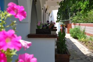 Zahrada ubytování Myra Hotel