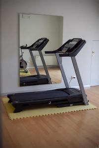 Fitness centrum a/nebo fitness zařízení v ubytování Hotel dei Gonzaga