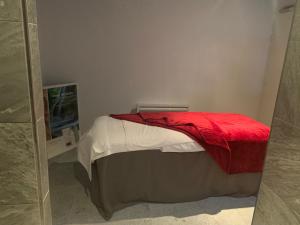 een slaapkamer met een bed met een rode deken bij Boost Your Immo Chalet des Rennes 83 in Vars