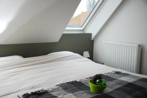 Postel nebo postele na pokoji v ubytování B&B Het Schaliënhof