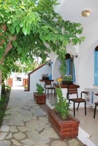 Zahrada ubytování Myra Hotel