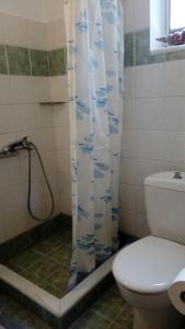 y baño con aseo y cortina de ducha. en Euktimeno en Vathi