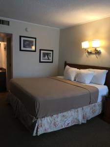 uma cama grande num quarto de hotel com duas lâmpadas em Cheshire Motor Inn em Atlanta