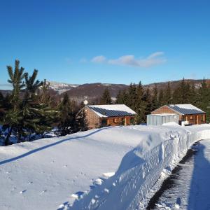 Chata Lesní during the winter