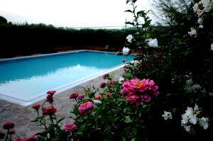 una piscina con flores delante en Apartment with privat garden, en Montegabbione