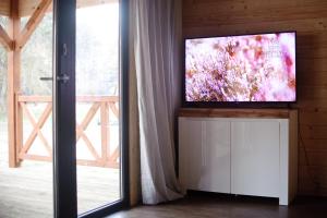 Televízia a/alebo spoločenská miestnosť v ubytovaní Wrzosowa Polana - domki letniskowe