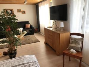 ein Wohnzimmer mit einem TV und einem Sofa in der Unterkunft Ferienwohnung Milchgaessli in Frutigen