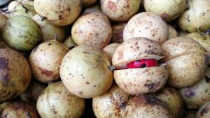 a pile of green onions with a red inside at Best Kerala Homestay in Kattappana +20 photos