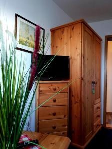 TV a/nebo společenská místnost v ubytování Hotel & Restaurant Gulfhof